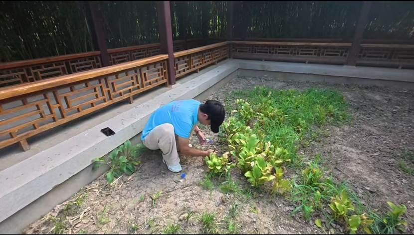南湖2
