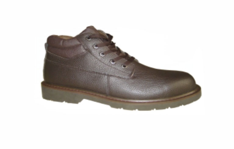 Safety Shoe 3